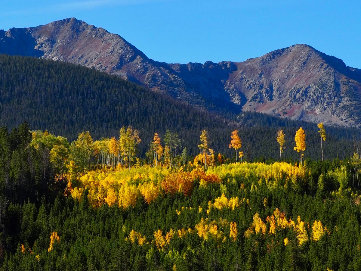 Town of Breckenridge tweet media