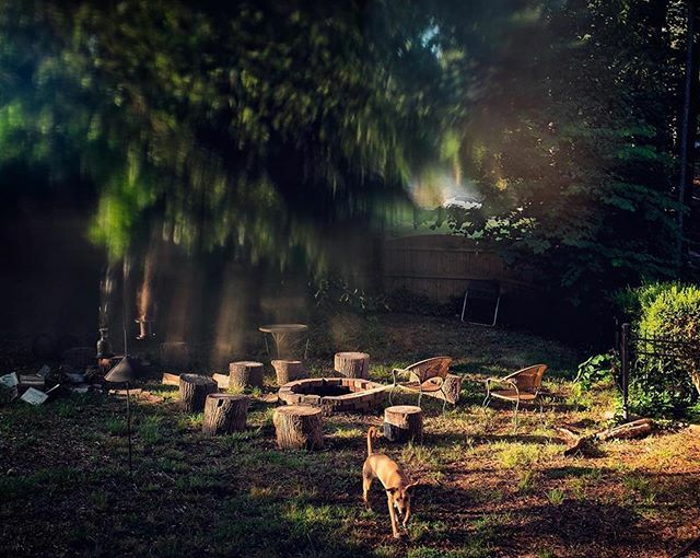 HonestOctober's tweet image. From @justinmakephoto
・・・
#HonestOctober starts today. I came really close to not running the @HonestOctober account this year. I’ve been pretty overwhelmed lately by things both in and out of my control and I have been making a lot of mistakes. Form… ift.tt/2nkbUe1