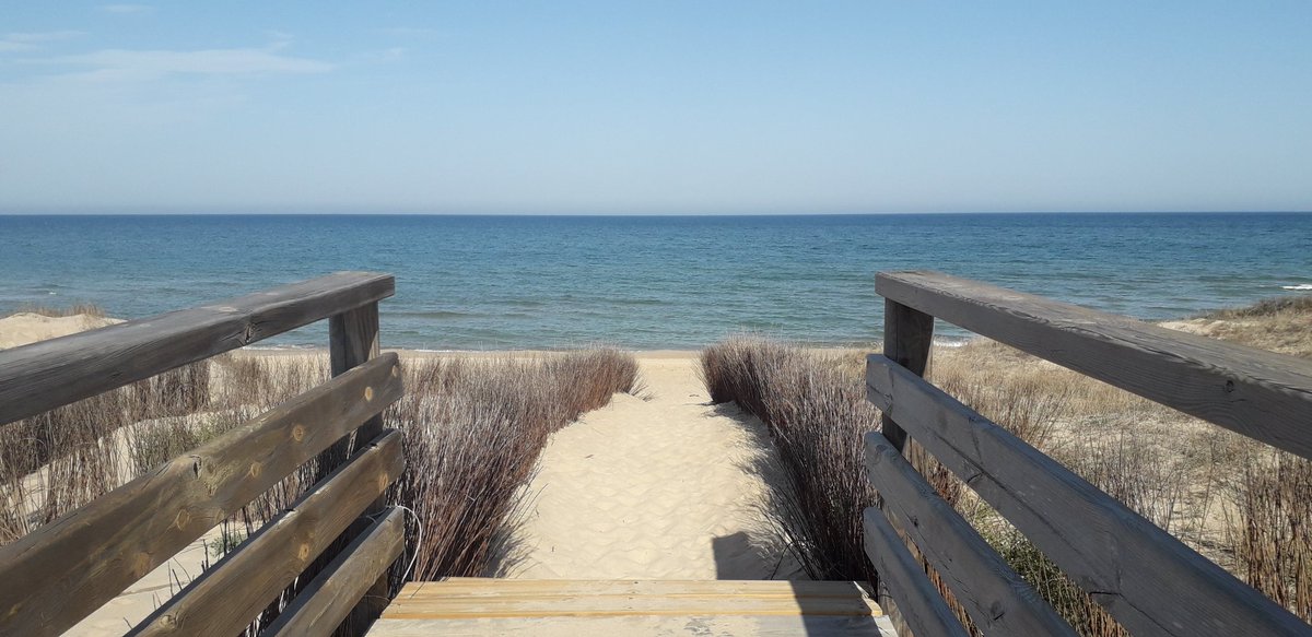 MRElectrique's tweet image. Llaurar la mar 💙
#Mareny