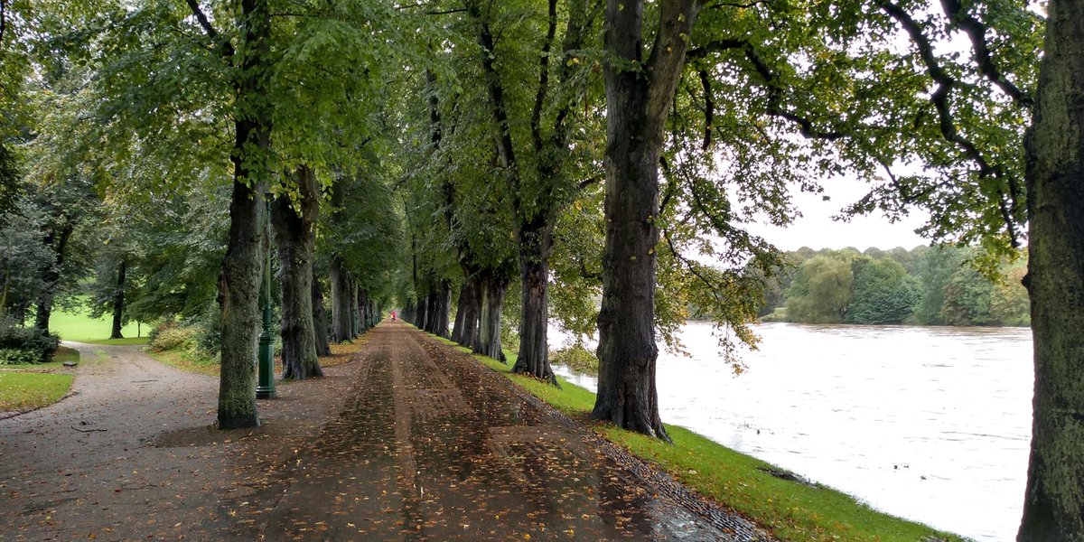 WinckleySq's tweet photo. River #Ribble #Preston in flood #AvenhamPark our #CentralPark 😊 https://t.co/iRtBS3rpyn