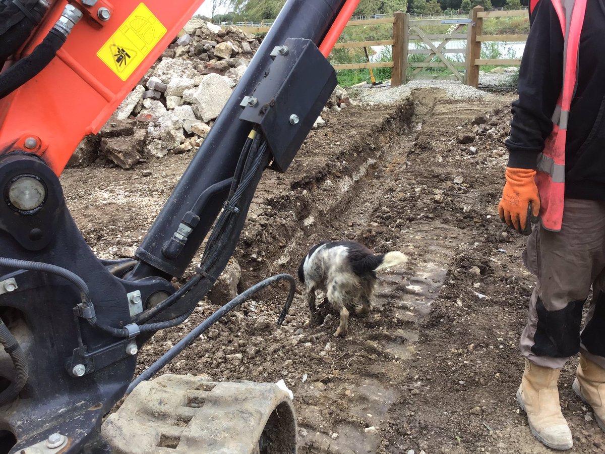 Rainwater pump going on n