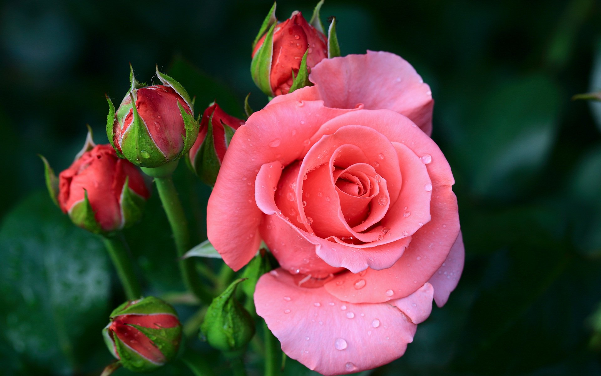 Wallpaper on Twitter: Wallpaper on Twitter: