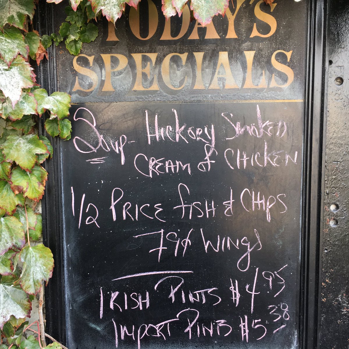 Ivy Arms tweet media