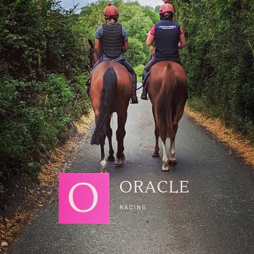 OracleRacing1's tweet photo. We head to @Goffs1866 on the 22nd of this month in the hope we can pick up something for the winter for our man @adiewintle to have some fun with anyone looking to join in with us get in touch.
#teamwintle #newsyndicate #weretakingover https://t.co/j7Dio4nWjq