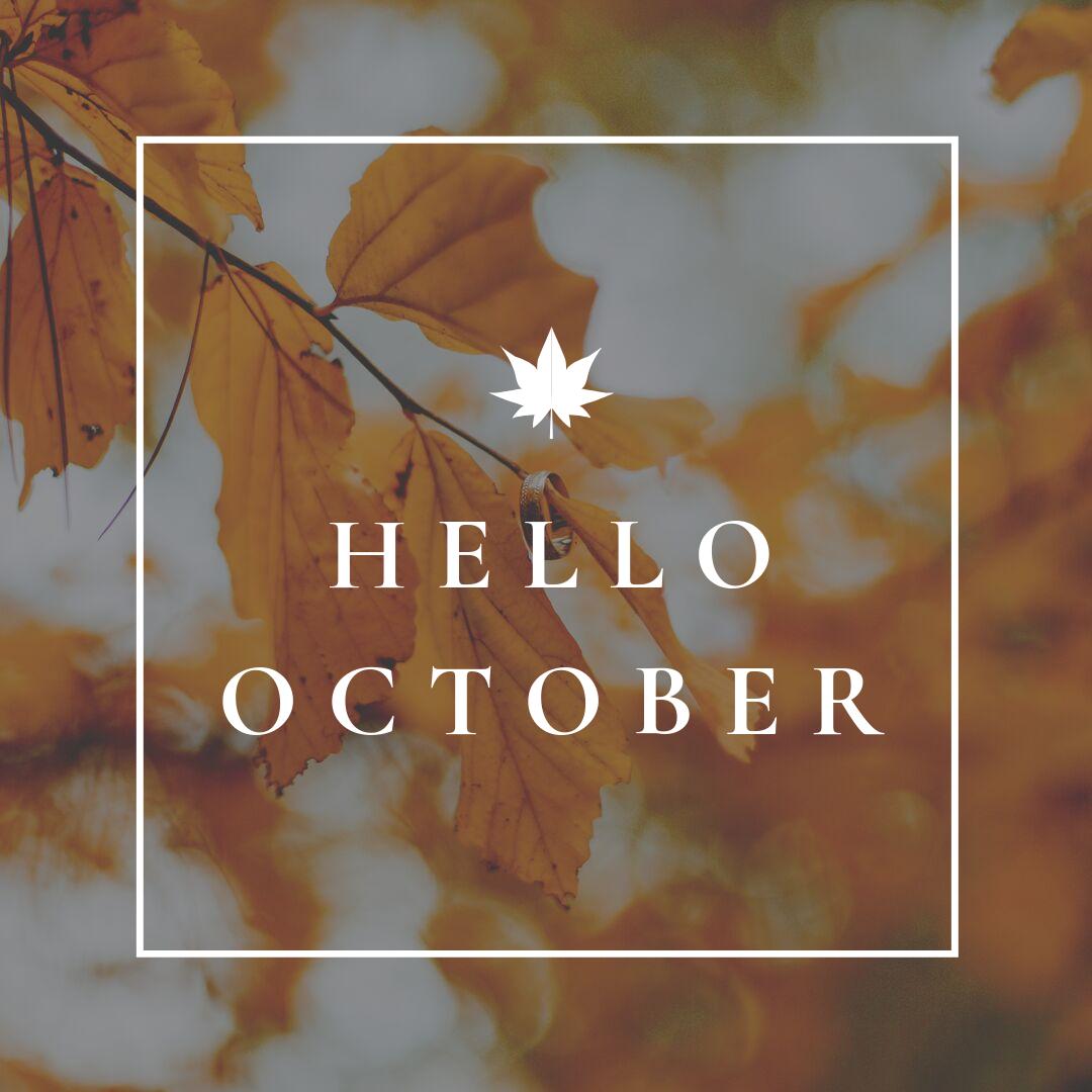 SRDesignGroup1's tweet image. Happy first day of October! Make it a great day! #October1st 🍁🍂🎃🧡 
.
.
.
.
#SRDesignGroup #Design #Remodeling