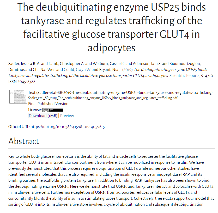 StrathclydeOA's tweet image. The deubiquitinating #enzyme USP25 #binds tankyrase and #regulates trafficking of the facilitative #glucose transporter #GLUT4 in adipocytes strathprints.strath.ac.uk/70137/ #OpenAccess