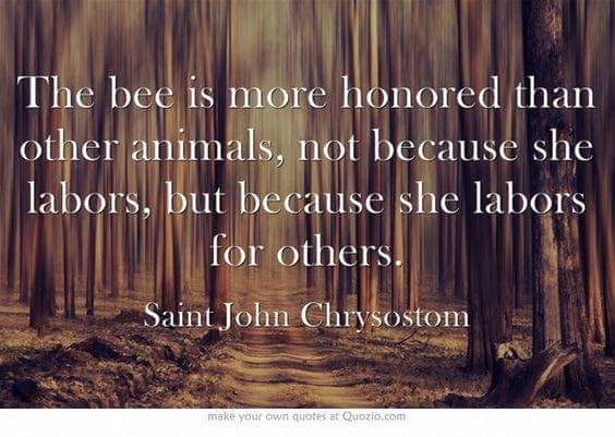 BeekeepersWorld's tweet photo. #savethebees #SavetheWorld #beekeeping #bees https://t.co/Iwf2j5woIH
