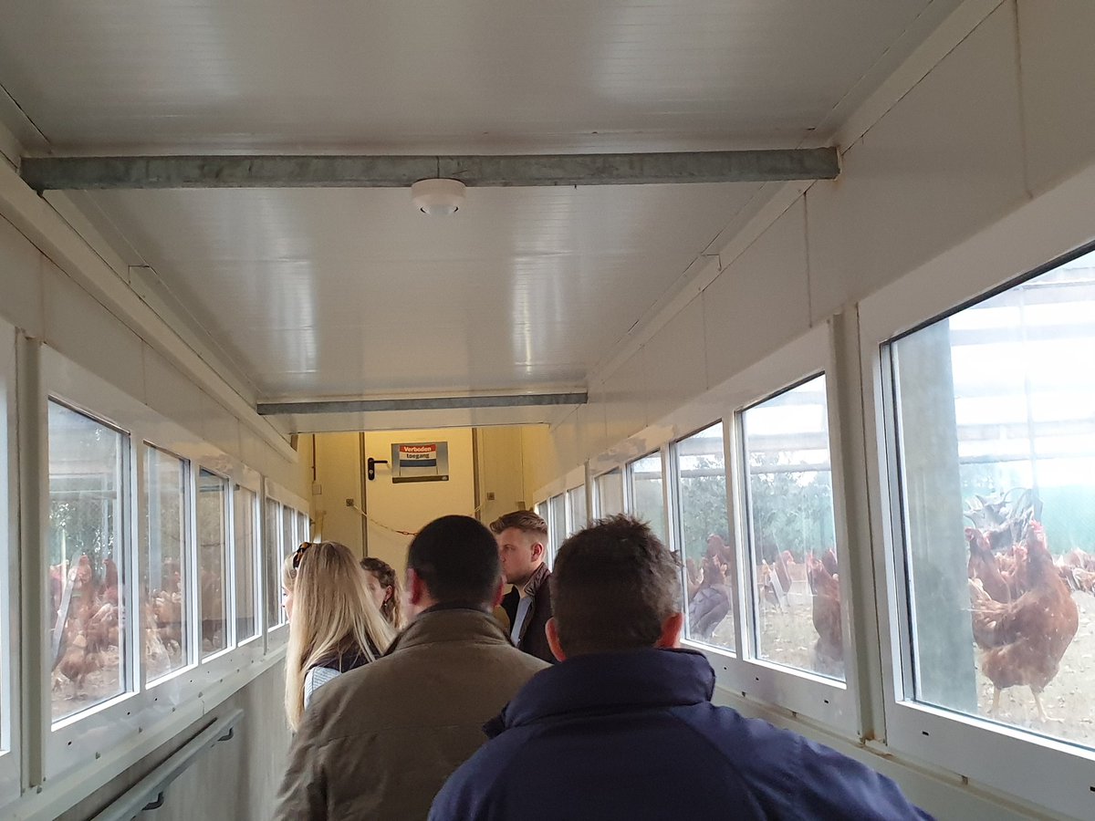 Clarey_J's tweet photo. Yesterday's visit to a @RondeelEi poultry unit which houses 36,000 birds 🐓 and @VencomaticGroup showroom #agriacademy19 @FarmingConnect https://t.co/WQKdbnr0kK