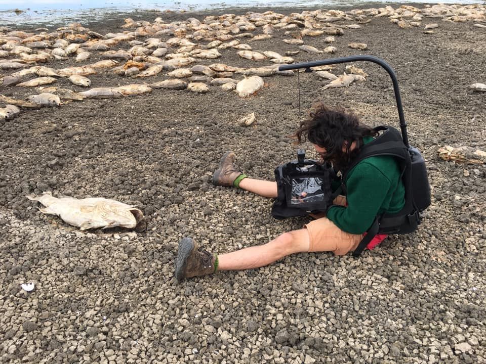 watershedallyAU's tweet photo. ***BREAKING #FISHKILL LAKE PAMAMAROO CONFIRMED. Doco-maker R.McLeod (pic.) shot this heart-breaking photo this A.M: "can confirm the fish kills. We recon 1 very big cod for every 1000 carp. I have some very shocking footage...." 2MRW. #SaveOurMLS https://t.co/sg82lPliFG #menindee https://t.co/n8aRITLdtE
