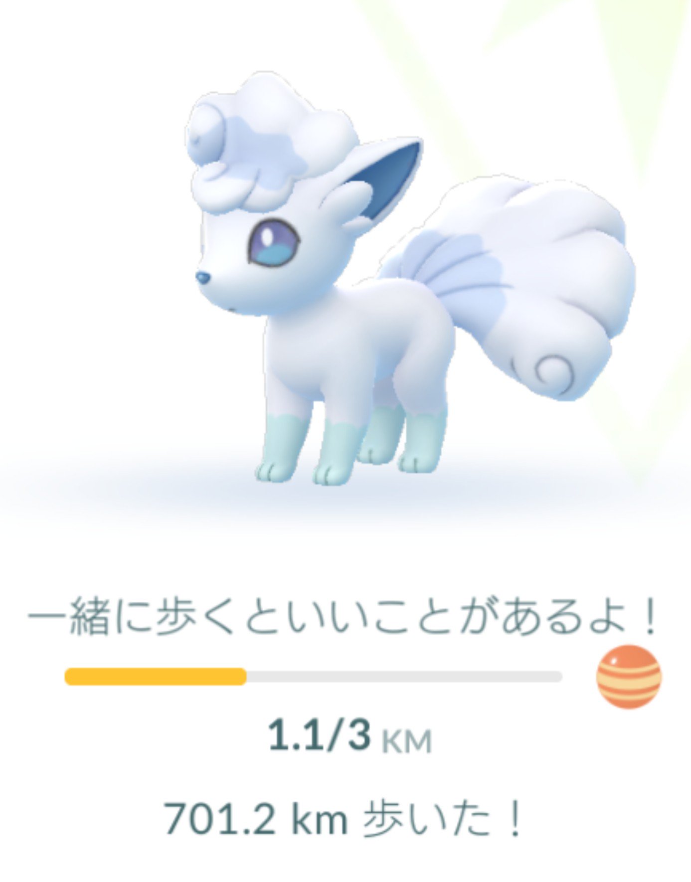 Tomomi この子と１０００km歩くまでに高個体と色違いgetできるかな ポケモンgo アローラロコン T Co Smvrzw3cub Twitter