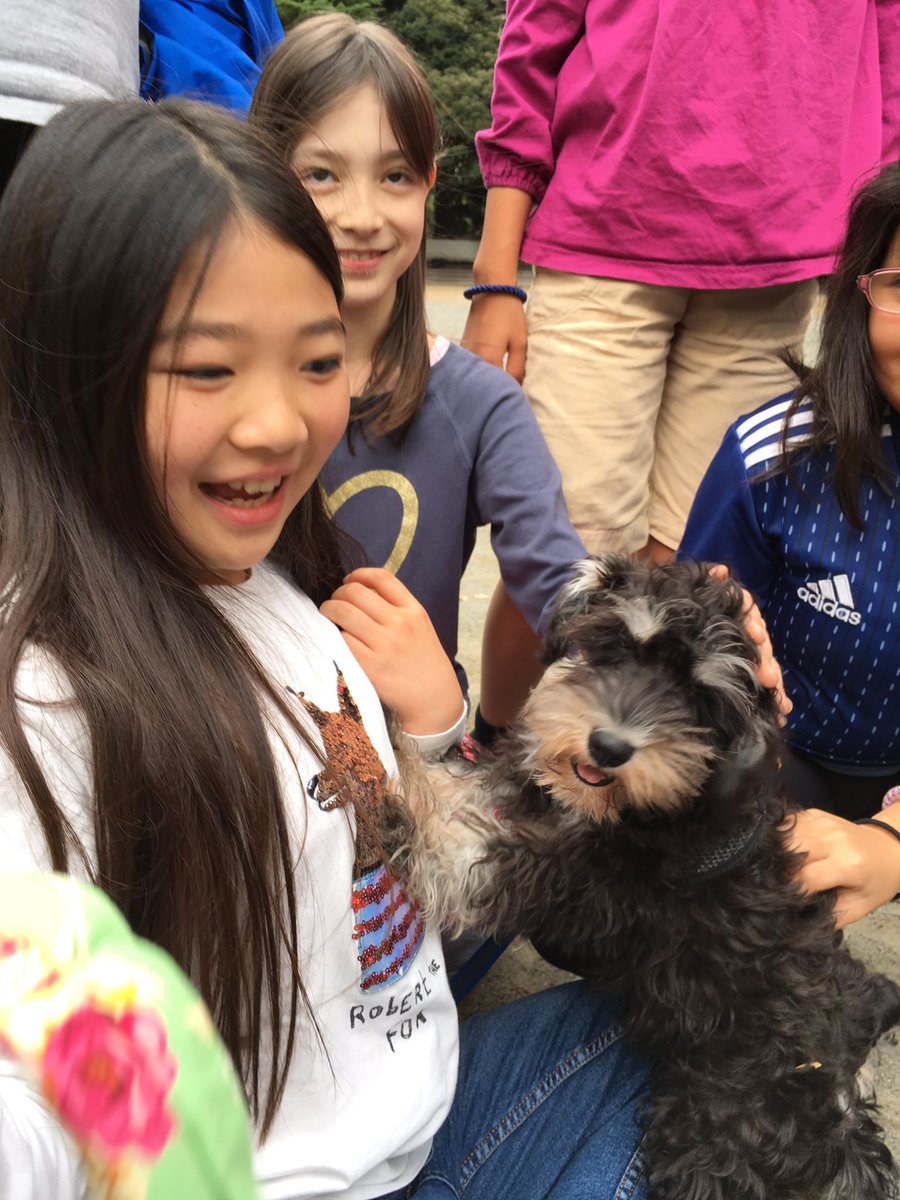MSTokyoWillow's tweet photo. Admiring our class mascot “Willow” #MSTelementary #MSTcompassion https://t.co/WInvJRp4vT