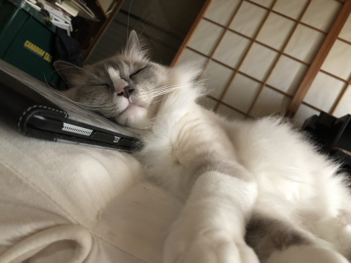 すぐ消す って書いて子供の写真載せてる人いるけどその言葉で検索してる人いるから気をつけて すぐ消す 消さない 画像で検索妨害中 Togetter