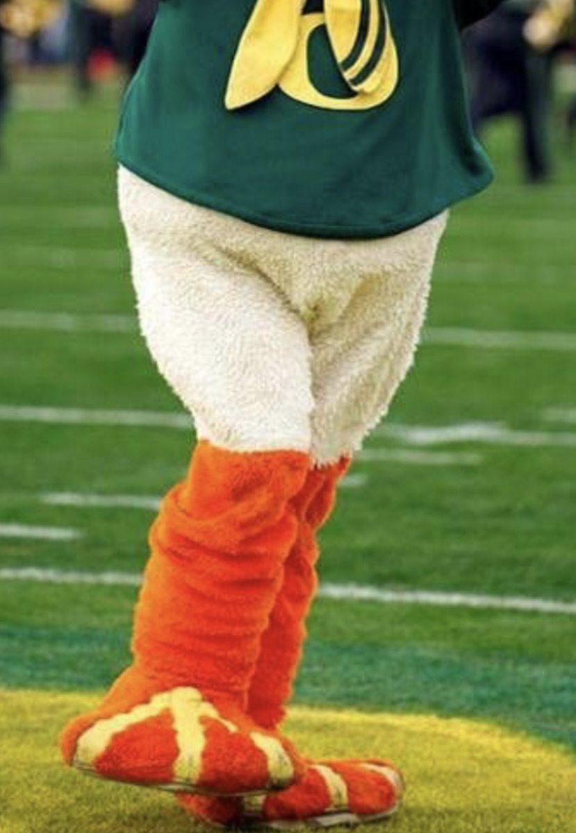 HarryTheHusky's tweet image. .@TheOregonDuck skips leg day
