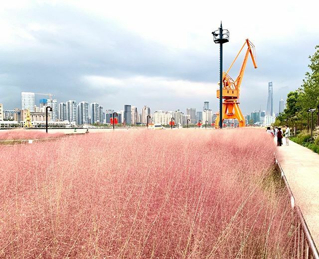 Ran Yang tweet media