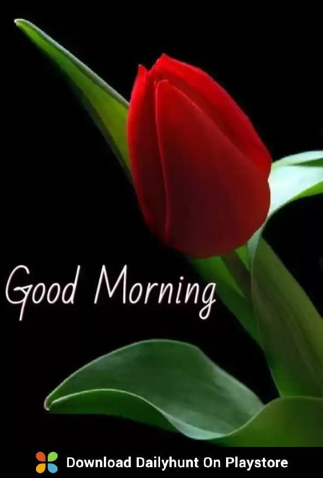 ajeet_ankita's tweet image. 