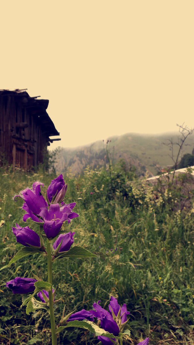 صباحكم رضا 💝

 #تخفيض_اجازه_المعلمين