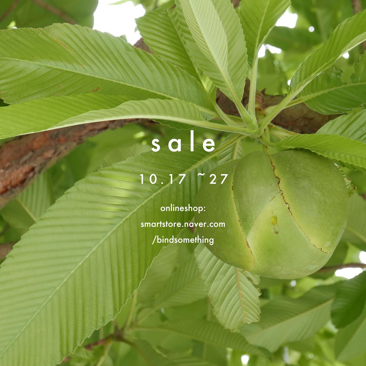 BindSomething's tweet image. 동시에 27일까지 ✨세일✨을 진행하니 많은 관심 바랍니다. 택배 발송은 28일 (월)부터 순차적으로 발송됩니다. 많은 양해 바랍니다. 
감사합니다. 🙂
-
smartstore.naver.com/bindsomething
-
#taipeiartbookfair2019 #bplatform #bindsomething