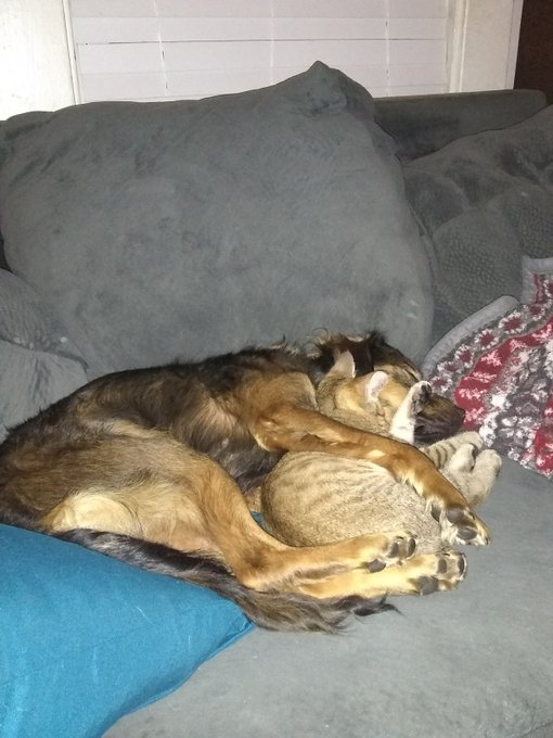 These 2 lmao https://t.co/ts6TKvkGjN