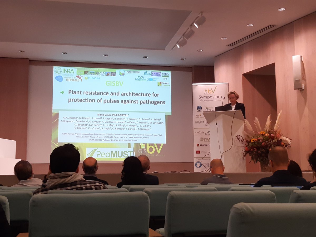 PeaMUST's tweet photo. Aujourd'hui,  M-L. Pilet-Nayel représente #PeaMUST avec un talk sur la résistance des #légumineuses aux pathogènes au Symposium inter-PIA du #GISBV @gisbiotechverte @UMR_IGEPP https://t.co/X9YGfV7pL6