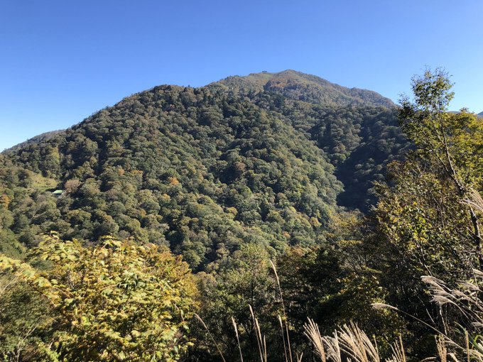 四國紅葉最新消息 每日更新 Japan Travel 日本旅遊情報網