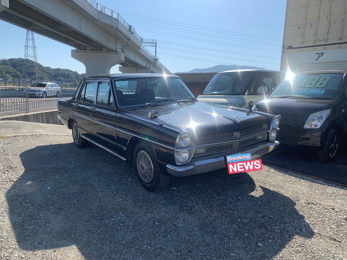 グロリア売ります