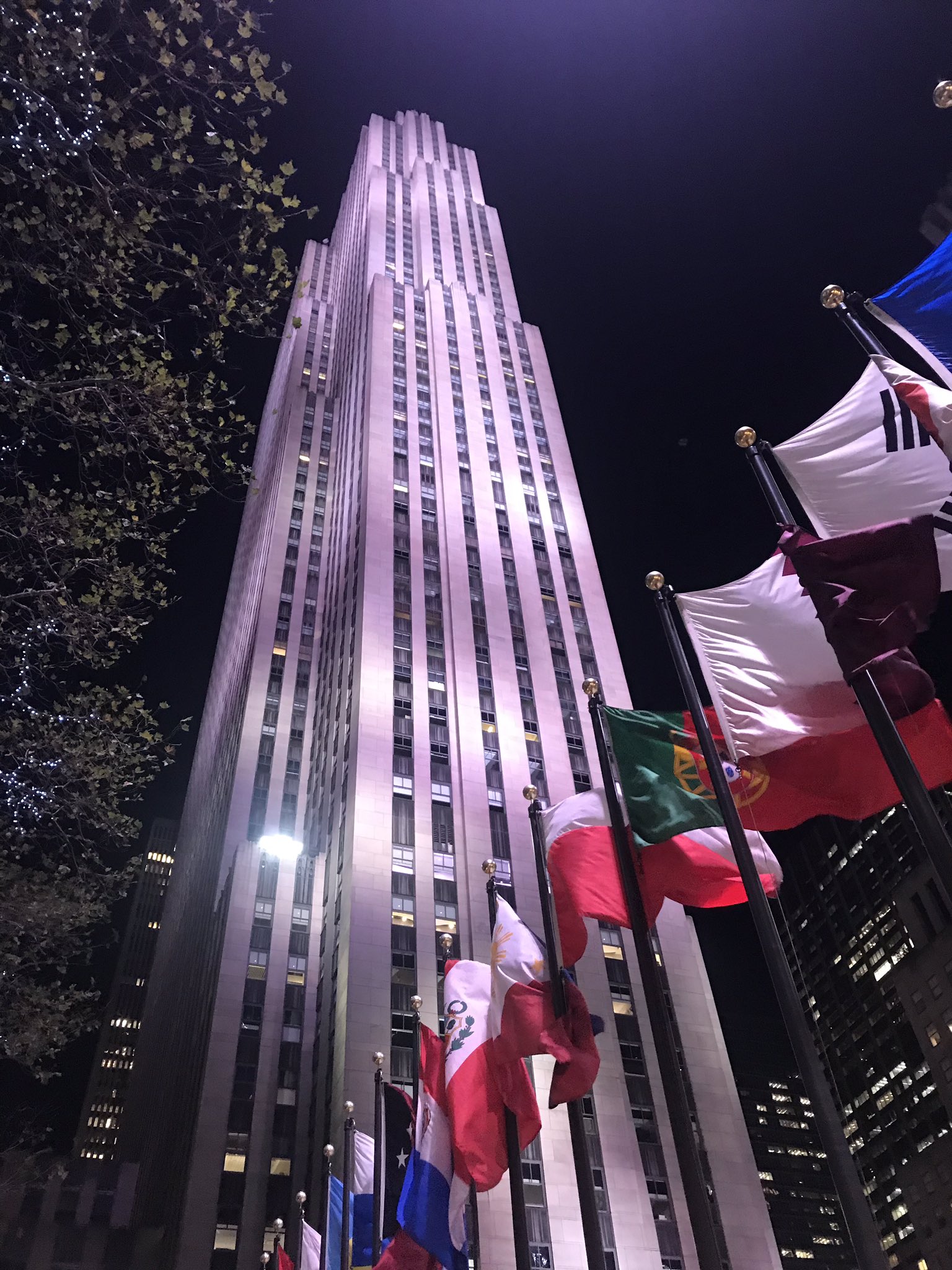 棚木 たなぎ ダメ元でアメリカ人にフォーサイト財団ビルの写真を見せながら こんなところ無いよね 笑 って言ったら これ ロックフェラービルだよ 行けるよ って返された話をしようと思う T Co Erakons8dp Twitter