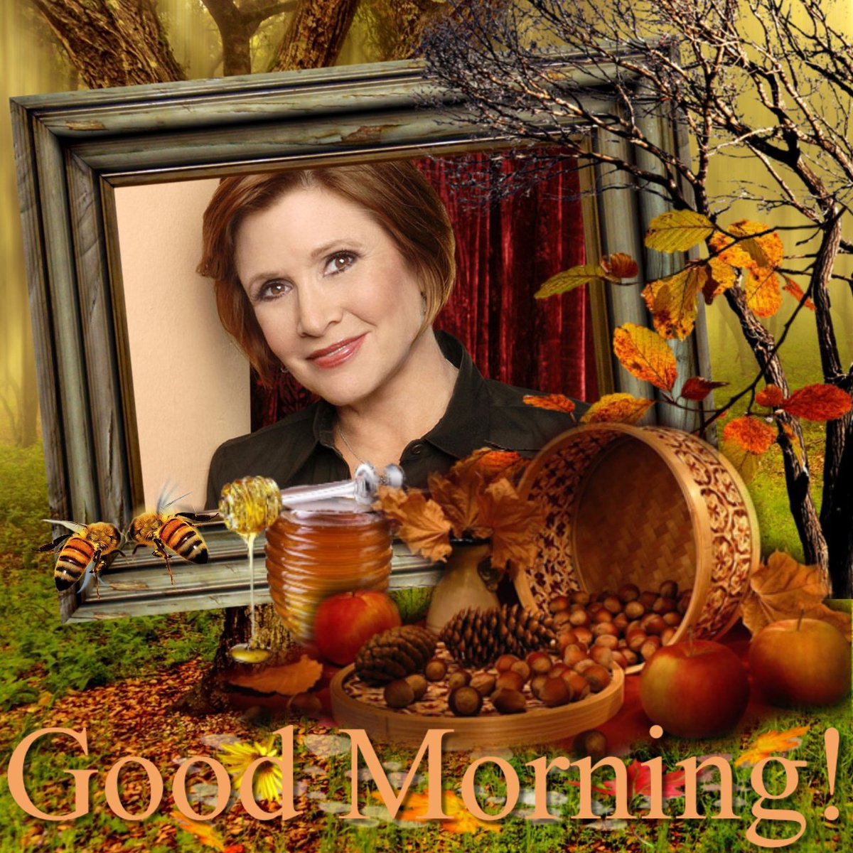 Doris Rossow tweet media