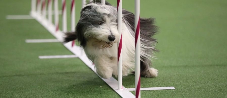 Quentin '🐧' ADAM tweet media