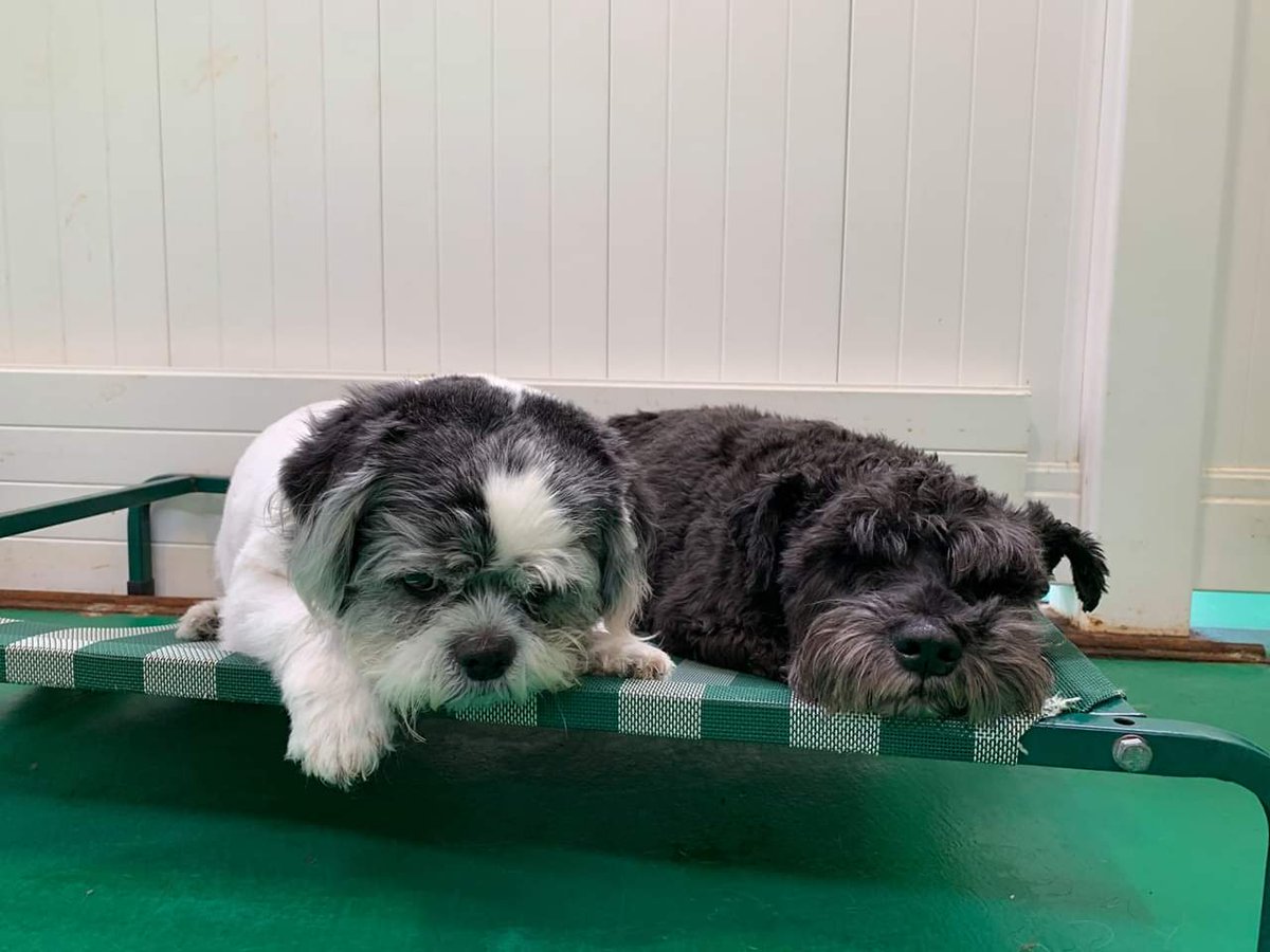 ThIs Is Me AnD mY fRiEnD aT dOgGy DaYCaRE I lOvE GoInG tHeRe My MuM &amp; dAd CaLl It ScHOoL bUt I KnOw iTS CoDe FoR DOGGIES!!!!!