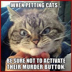 #WednesdayWisdom 😂😂😂🐱 https://t.co/unNtN6XlQD<a href="/tag/wednesdaywisdom"class="tags">#WednesdayWisdom</a>