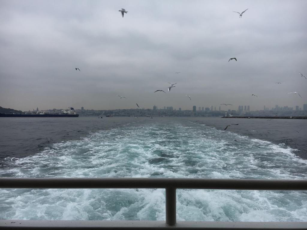 UlasSunata's tweet photo. Bu yılda geldi beklenen gezi günü #SOC2001 Urbanization için Büyükada'ya gidiyoruz. https://t.co/YQPiWhHJLV