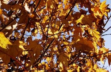 UoN Counselling (@uonucs) on Twitter photo Breathe here now - Meditation session to switch off and unwind. Today 14 Oct - Drop in no need to book.
1.15 - 1.45pm at UP Counselling Service Bld 6.@UoNlibraries
@UoNgradschool
<a href="/UoNSU_Welfare/">Alice Kosse SU</a>
@studentMindsUoN
<a href="/NottsNightline/">Nottingham Nightline</a>
<a href="/UoNStudentLife/">UoN Student Life #WeAreUoN</a>
<a href="/UoNSU/">University of Nottingham Students' Union</a>
<a href="/UniofNottingham/">Uni of Nottingham #WeAreUoN</a> Breathe here now - Meditation session to switch off and unwind. Today 14 Oct - Drop in no need to book.
1.15 - 1.45pm at UP Counselling Service Bld 6.@UoNlibraries
@UoNgradschool
<a href="/UoNSU_Welfare/">Alice Kosse SU</a>
@studentMindsUoN
<a href="/NottsNightline/">Nottingham Nightline</a>
<a href="/UoNStudentLife/">UoN Student Life #WeAreUoN</a>
<a href="/UoNSU/">University of Nottingham Students' Union</a>
<a href="/UniofNottingham/">Uni of Nottingham #WeAreUoN</a>