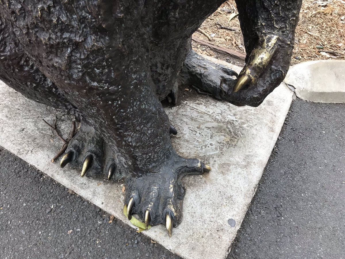 ローンパインコアラサンクチュアリの入り口に鎮座するコアラのブロンズ像が残念な出来だった。あの特徴的な前肢を再現しないなんて。後肢も真獣類っぽい。あんなに沢山生きたモチーフが身近なのに。 