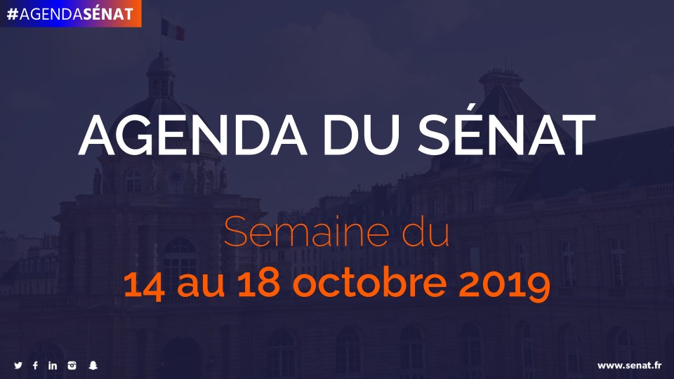 Senat's tweet photo. 📆 Cette semaine au #Sénat :

🗣 Audition de @florence_parly par la #ComDéfenseSénat, sur le #PLF202 - 15/10 à 15h
📣 Audition de @Chantal_Jouanno par la #ComDevDurSénat, sur la #démocratie environnementale
🔔 #QAG - 16/10 à 15h

Tout l'agenda ➡️ https://t.co/A17hmp9OkX https://t.co/ZzfpuIhmEZ