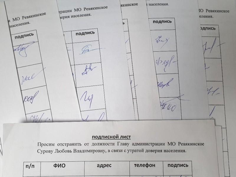 Жители Ревякино собрали подписи за отставку главы, чиновники назвали их поддельными - tulactive.ru/news/135314 classic