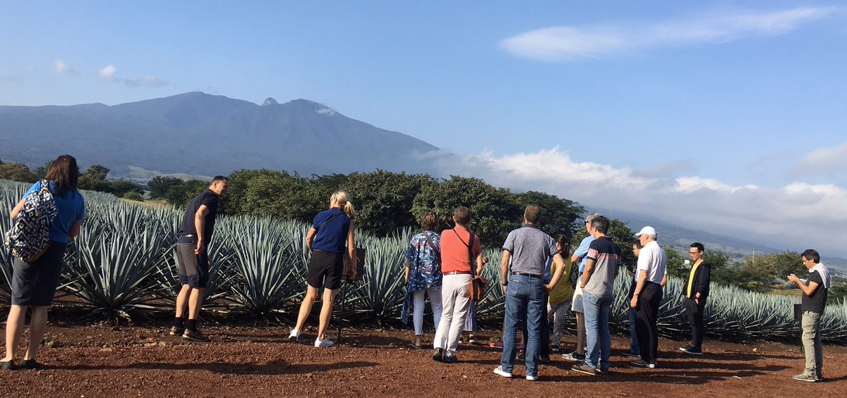 #LEIGudalajara2019...
Muy felices  compartiendo una tarde maravillosa con nuestros colegas    #LawExchangeInt en Tequila Jalisco!