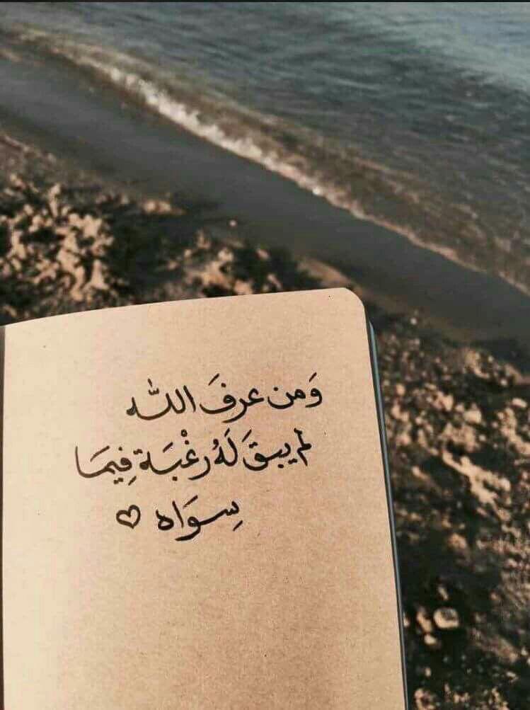 py004's tweet image. 