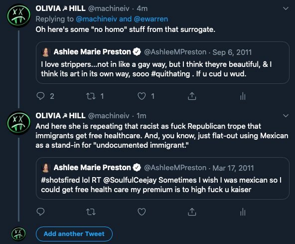 ALizardBotW's tweet image. My campaign surrogate and Bernie attack dog @AshleeMPreston had to lock down her account because some absolutely awful people were... [checks notes]...  Discovering dozens of her recent racist and homophobic tweets.