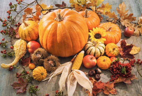 ineedpins's tweet image. Happy Thanksgiving 🇨🇦!