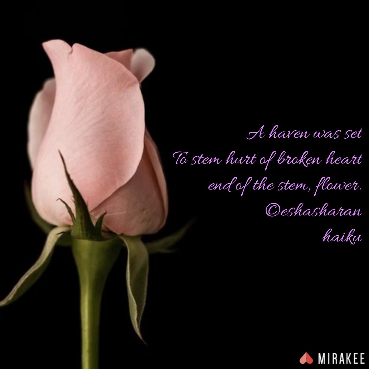 EshaSharan's tweet photo. #writingcommunity #WriterShareCafe #iamwriting #poetrycommunity #Eshapoetry
#haiku #haikulovers #haikudaily #micropoetry #haikujam #haikumill
#flower #haven #heal #stem #hope #new #begining
#havefun #goodmorning #goodnight #timezone
#poem #poetryzone https://t.co/YtQjqngHdr