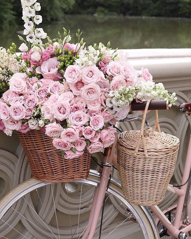ham394376882's tweet photo. #., 

., صباح الخيّر ، حَيّث يأخذ الصباح ثُلثاً مِنْ جمَآلك.,💛🕊'      #بيسيات #بيسيات_حب https://t.co/PKYzdkTuee