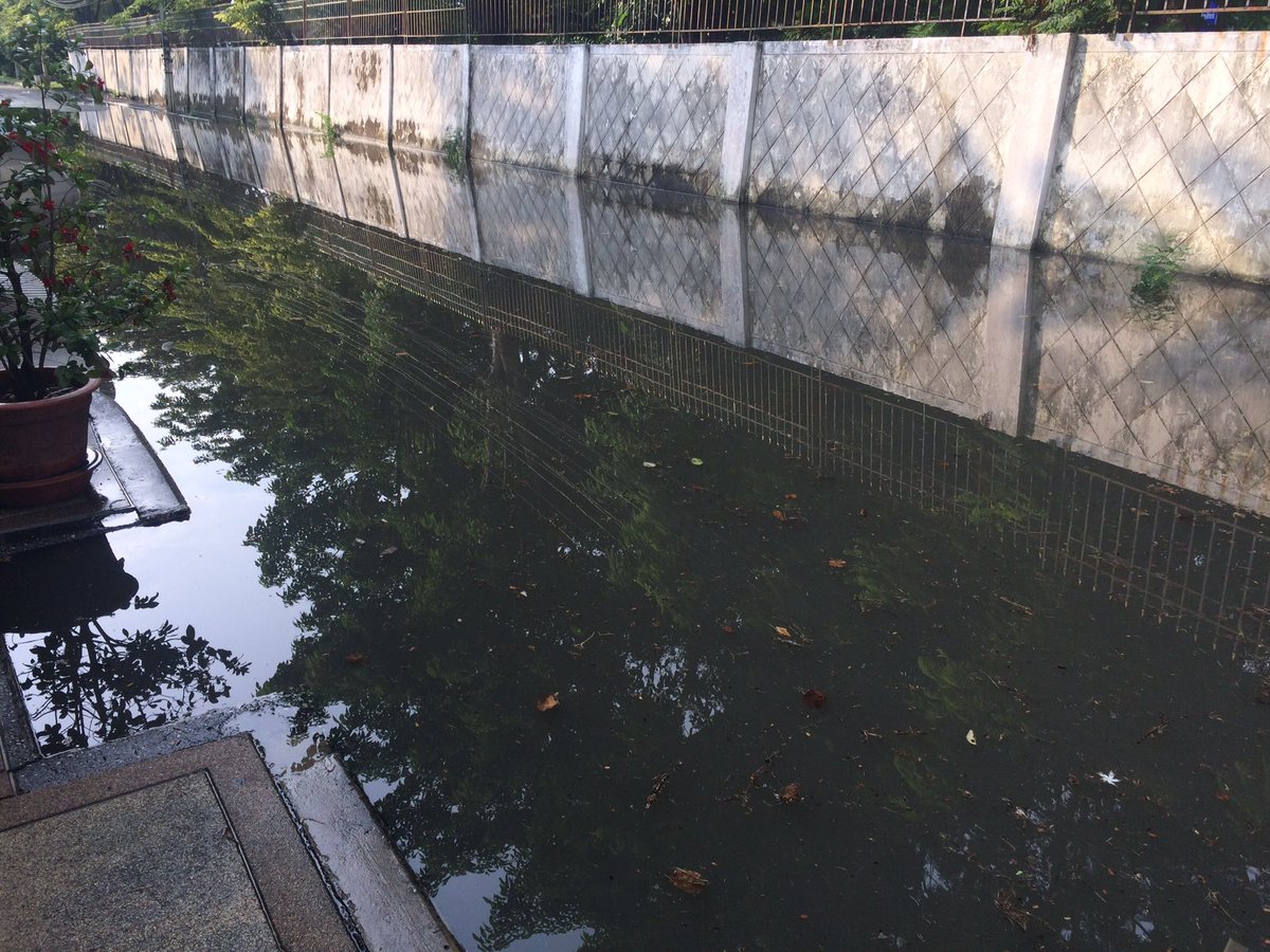 nm__area223's tweet photo. ขยะก็แยกแล้ว ถนนหน้าบ้านก็กวาดให้ แต่ฝนตกทีไรเป็นแบบนี้ตลอดอะ 555 นี่เกลือแค่ขุดลอกท่อเองแล้ว ต้องทำเองด้วยใช่ป่ะ? https://t.co/lvRdUi16nX