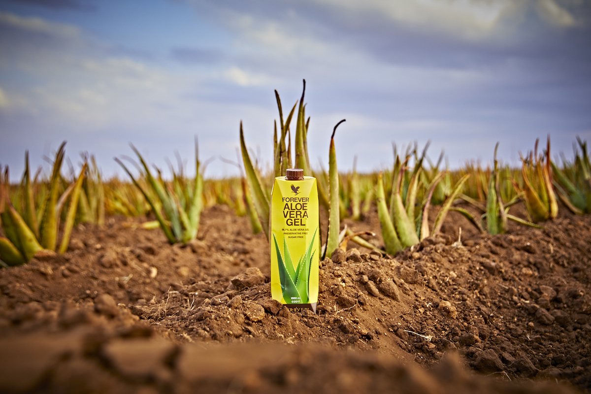 Did you know that aseptic processing allows us to package our aloe vera gel drinks with no added preservatives? It also boosts vitamin retention by 300%!
#thealoeveracompany