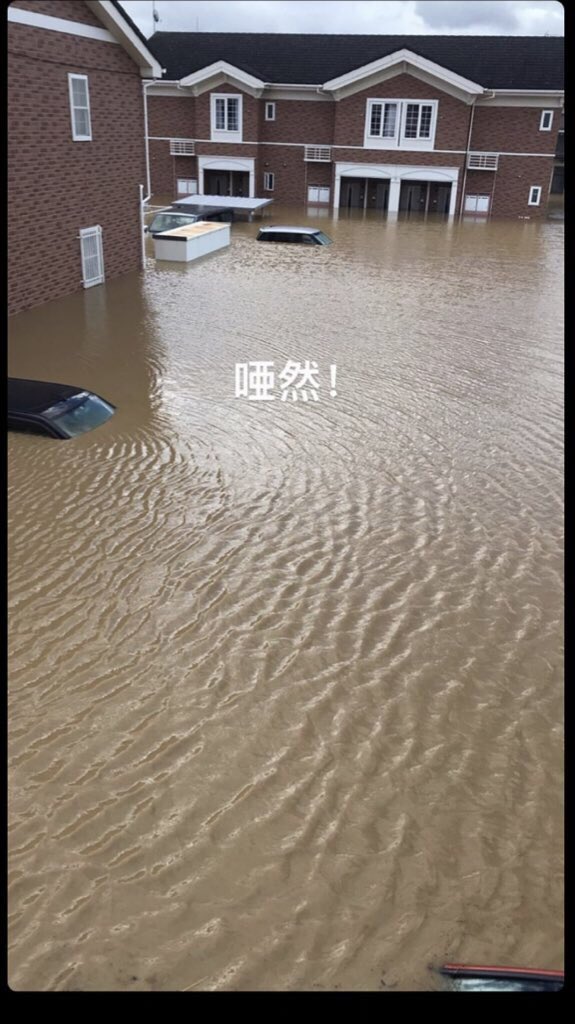 立ヶ花 Twitter Search Twitter