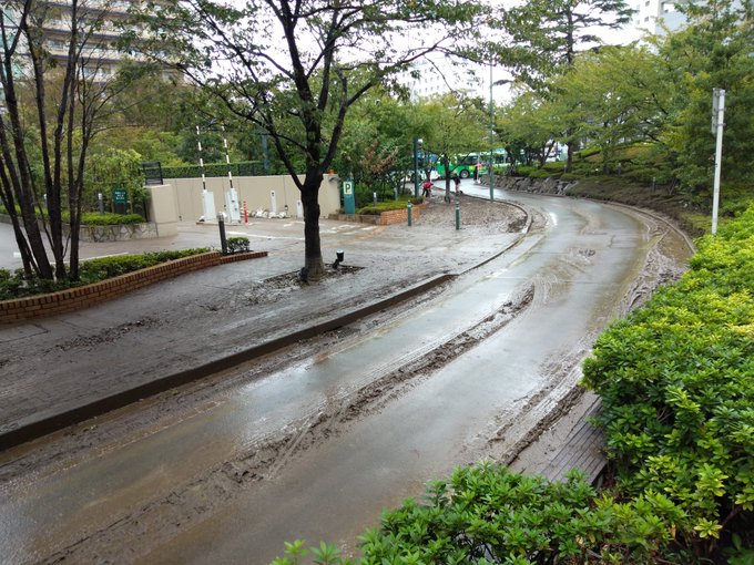台風19号被害 武蔵小杉駅界隈が冠水で 下水からの泥だらけ 臭い 道路ぐちゃぐちゃ 水は引く 神奈川県川崎市 まとめダネ