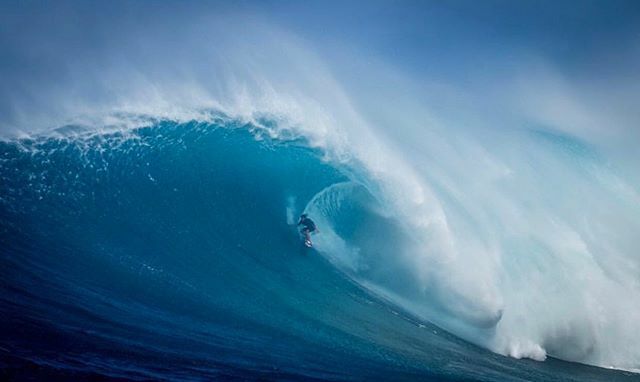 TySimpsonKane tweet media