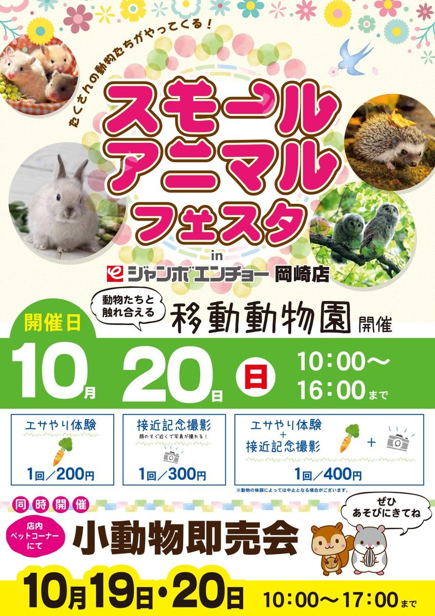 ジャンボエンチョー Twitter પર 岡崎店スモールアニマルフェスタ開催 10 19日 土 日 岡崎店でスモールアニマルフェスタ を開催 29 日 は大人気移動動物園がやってくる エサやり体験や一緒に記念撮影もできます ぜひ岡崎店にご来店ください