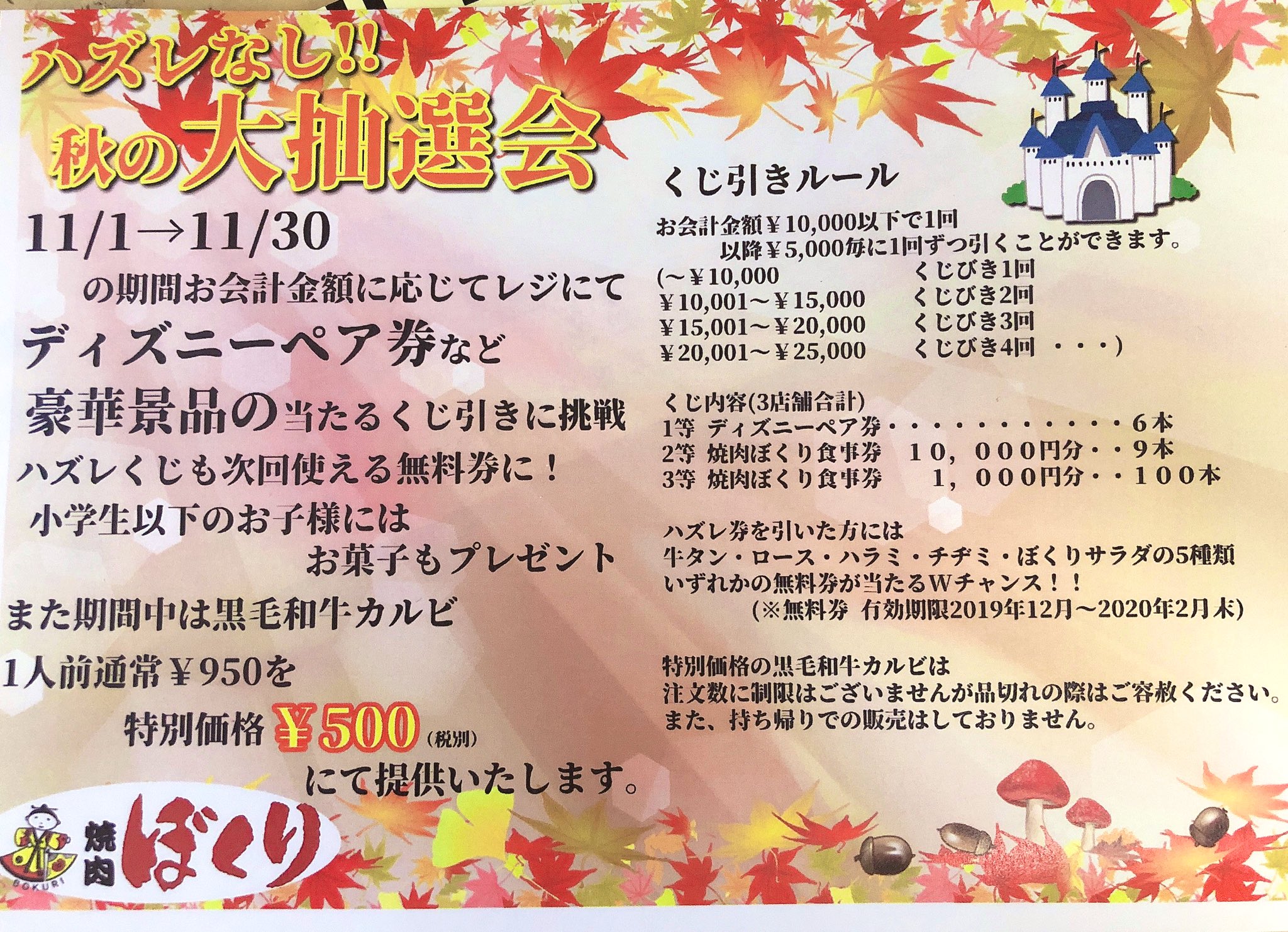 45 割引 超目玉 12月 ディズニー ペアチケット 2 4人分 遊園地 テーマパーク 施設利用券 Www Abramge Com Br