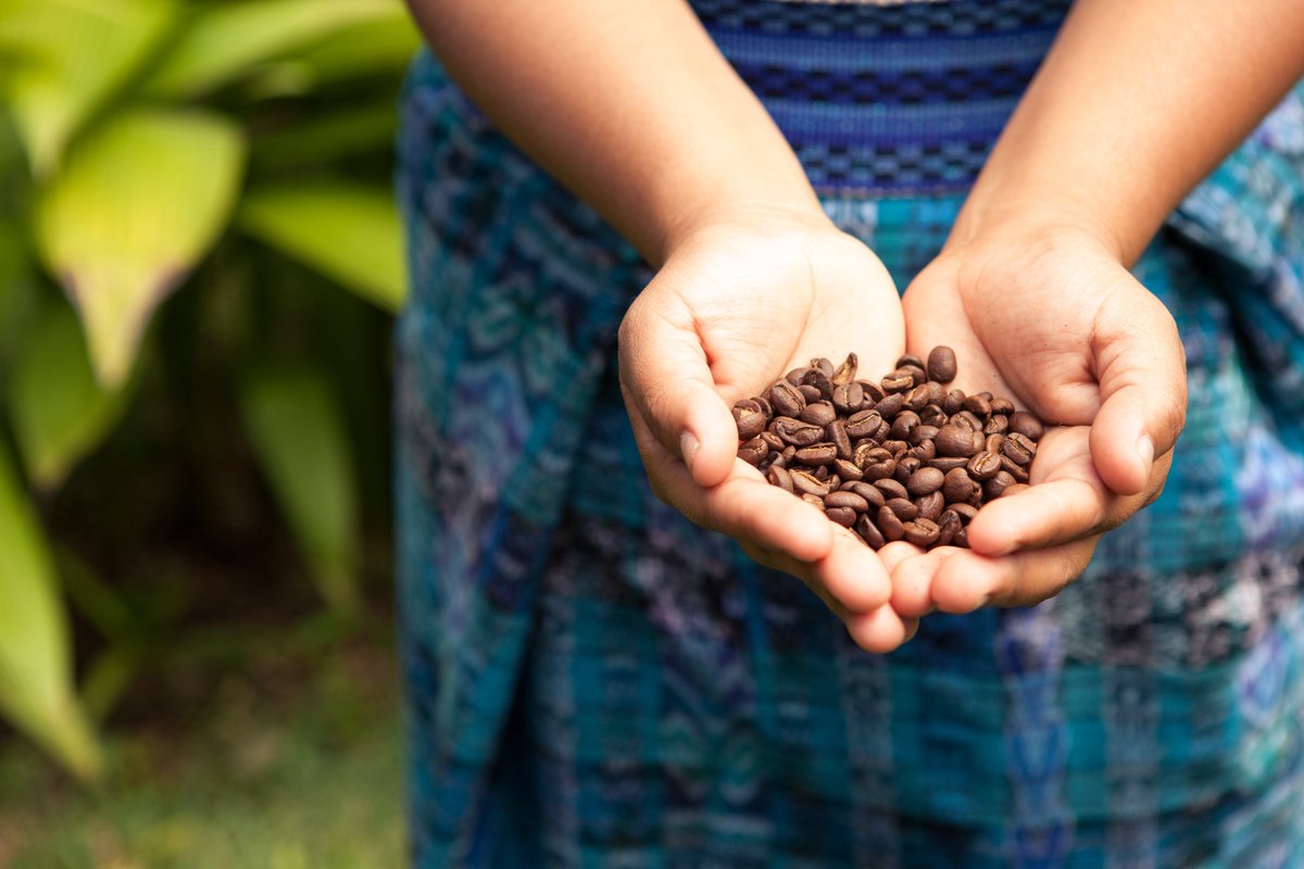 TataConsumer's tweet photo. The Coffee 4 Planet Ark program supported by Tata Global Beverages as a founding member is poised to be the world’s first large-scale #coffee waste collection system once it is rolled out.(1/2)
#sustainability #recycling #coffeegrounds #Australia #mapcoffee #sustainabilitymatters https://t.co/mXFBKMxulI