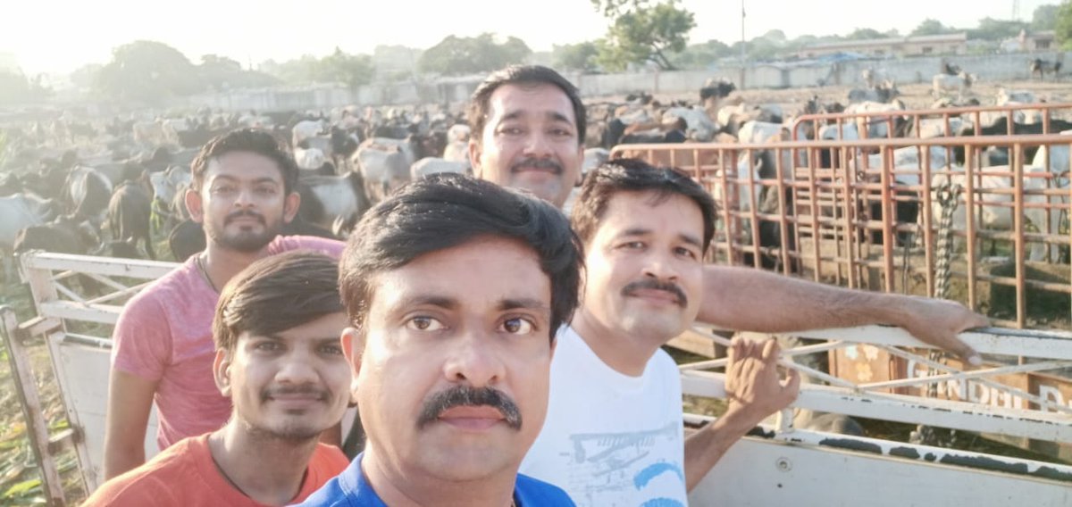 Different NGOs helping Gandhidham nagarpalika in fodder management of impound cattle at Ramleela ground.
દાતા શ્રી વાગડ સોની સમાજ  આર્ધશકિત નવરાત્રી મંડળ અંજાર
@CollectorKutch <a href="/PrantAnjar/">SDM ANJAR</a>